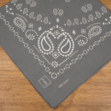 Stone Mountain Bandana